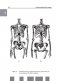 Анатомия человека. Полный компактный атлас фото книги маленькое 9