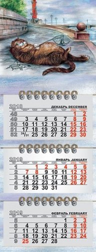 Календарь на 2020 год "Кот рыбак" (КР29-20018) фото книги
