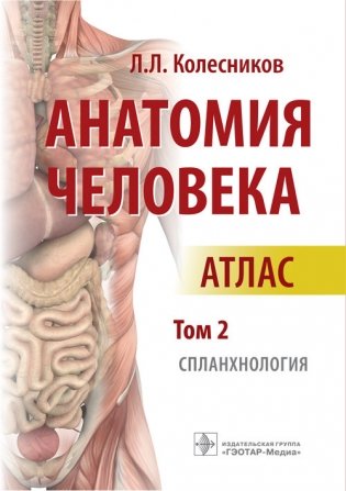 Анатомия человека. Атлас. Том 2. Спланхнология фото книги