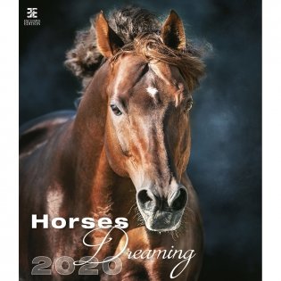 Horses Dreaming (Сны о лошадях). Календарь настенный на пружине на 2020 год фото книги
