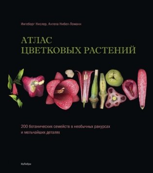Атлас цветковых растений. 200 ботанических семейств в необычных ракурсах и мельчайших деталях фото книги