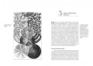 Крест, увитый розами: История, символы и традиции ордена розенкрейцеров фото книги 10