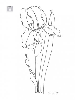 Нарисуй цветы в ботаническом стиле акварелью по схемам фото книги 8