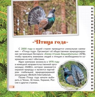 Птица года Беларуси. Глухарь фото книги 2