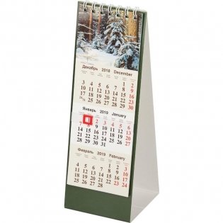 Календарь-домик настольный на 2019 год "Природа", 210х70 мм фото книги