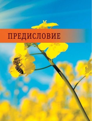 Большая энциклопедия пчеловода фото книги 6