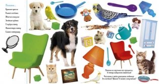 Найди и покажи. Фотокнига. Твой дом фото книги 2