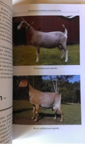 Основы молочного козоводства фото книги 3