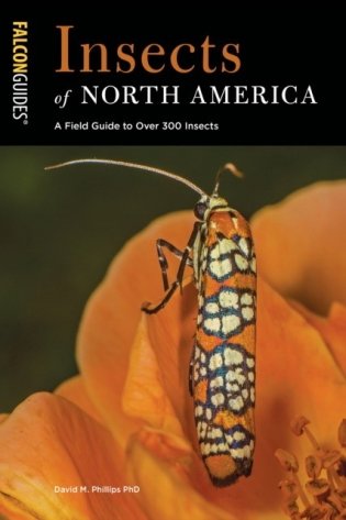 Insects of North America: A Field Guide фото книги