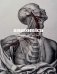 Anatomica. The Exquisite and Unsettling Art of Human Anatomy фото книги маленькое 2