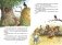 Лесной воришка фото книги маленькое 7