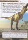 Динозавры фото книги маленькое 6