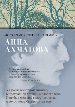 «В то время я гостила на земле...» фото книги