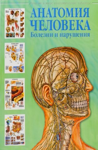 Анатомия человека: болезни и нарушения фото книги