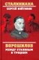 Ворошилов между Сталиным и Троцким фото книги маленькое 2