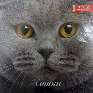 Кошки, календарь 2018 фото книги