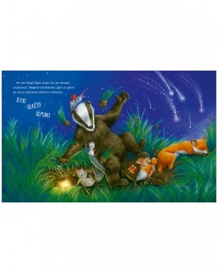 Самая звёздная ночь фото книги 12