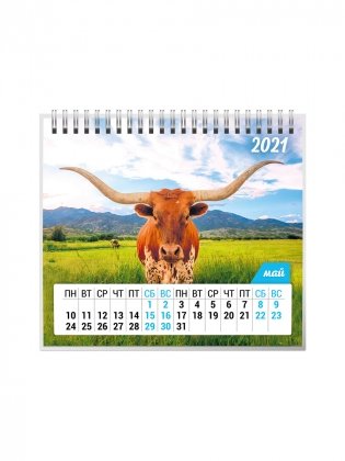 Календарь-домик на 2021 год "Символ года 1" (евро) фото книги 6