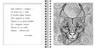Раскраска Релакс "Магия кошек" фото книги 2