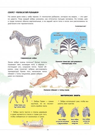Мир животных. Наглядно и просто фото книги 7