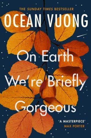 On Earth We're Briefly Gorgeous фото книги