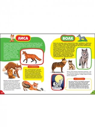 Животные для самых маленьких. Лучшая энциклопедия для малышей фото книги 4