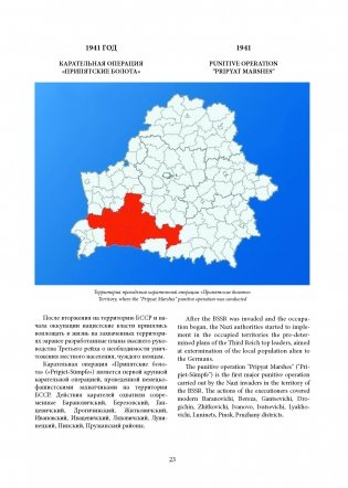 Геноцид белорусского народа. Карательные операции. В двух частях. Часть 2 фото книги 8