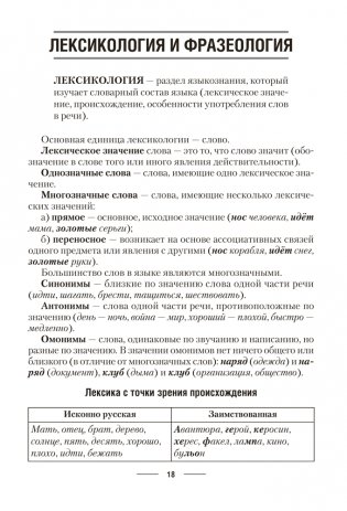 Русский язык. ЦЭ. ЦТ. Теория. Примеры. Тесты фото книги 7