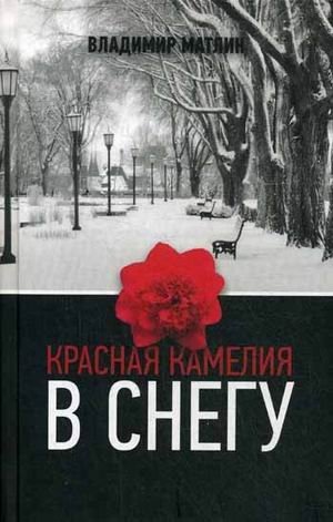 Красная камелия в снегу фото книги