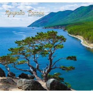 Календарь настенный перекидной на 2020 год "Пейзаж. Природа России", 290x560 мм фото книги