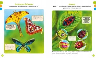 Животные-малютки фото книги 4