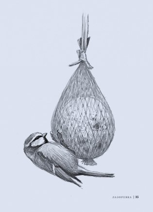 Птицы. Крылатые чудеса природы фото книги 4