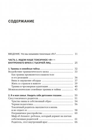 Детокс внутреннего «Я». Как избавиться от самотоксичности и стать свободным фото книги 2