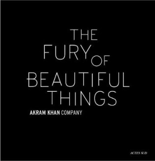 The Fury of beautiful things фото книги