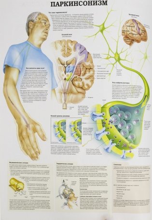 Анатомия человека: болезни и нарушения фото книги 11
