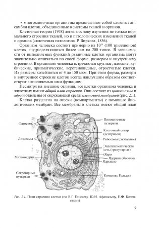 Гистология, цитология и эмбриология. Краткий курс фото книги 10