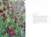 Sweet Pea School: Growing & Arranging the Garden’s Most Romantic Blooms фото книги маленькое 9