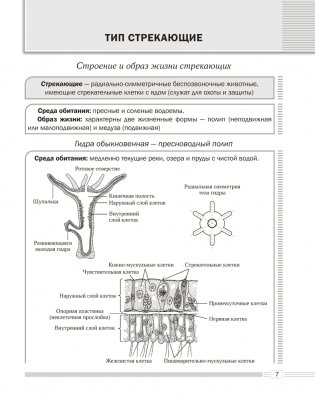 Биология. 8 класс. Опорные конспекты, схемы и таблицы. ГРИФ фото книги 6