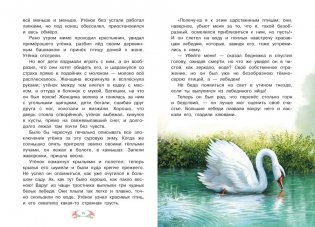 Гадкий утёнок фото книги 7