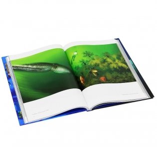 Душа океана фото книги 3