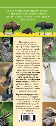 Животные. Определитель животных русских лесов и полей фото книги 2