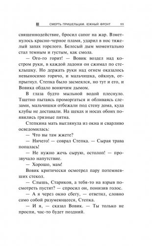 Смерть пришельцам. Южный фронт фото книги 11