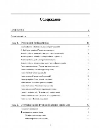 Локомоция человека. Протокол обследования, оценка, лечение и профилактика травм, связанных с циклом походки фото книги 6
