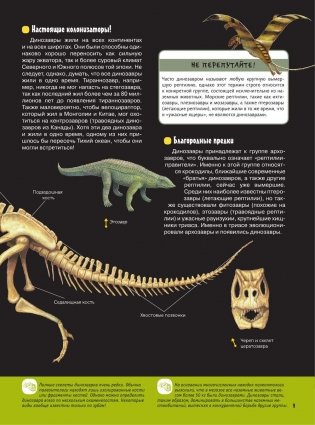 Динозавры и первые звери фото книги 10