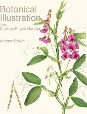 Botanical Illustration from Chelsea Physic Garden фото книги