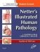 Netter's Illustrated Human Pathology фото книги маленькое 2