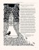 Загадка жизни и грязные носки Йоса Гротьеса из Дрила фото книги маленькое 3