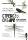 Стрекозы Сибири: Иллюстрированный атлас-определитель фото книги маленькое 2