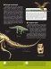 Динозавры и первые звери фото книги маленькое 11