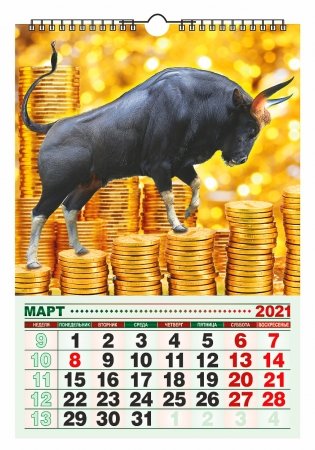 Календарь настенный "Символ года" на 2021 год фото книги 2